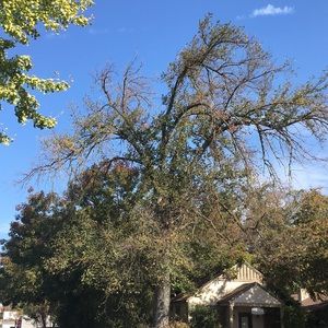 Meet your Posher, Madalyn